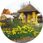 Cranleigh Taxis